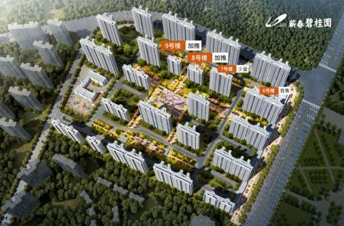 蕲春碧桂园爆料最新消息,揭秘项目进展与未来规划