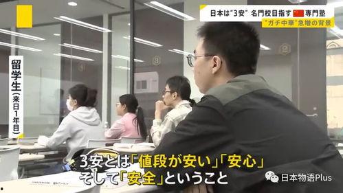 日本留学生最新爆料,留学生活的真实写照与挑战