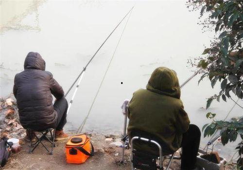 钓鱼爆料视频最新,最新爆料视频带你领略垂钓乐趣与技巧