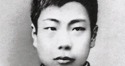 鲁迅最新爆料新闻视频,揭秘历史真相，引发社会热议