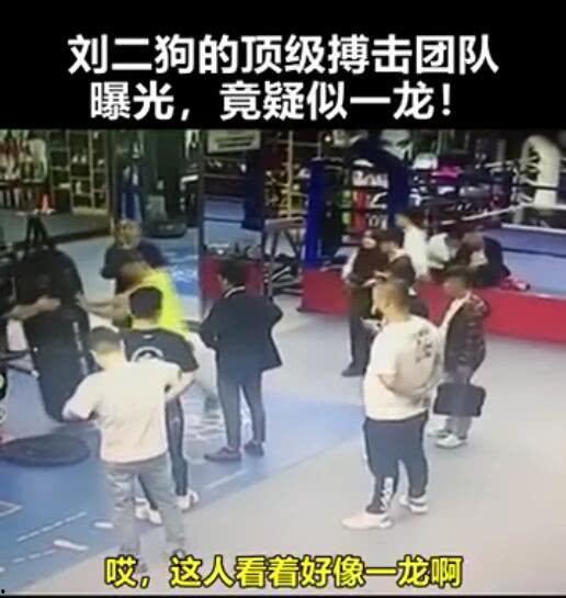 刘二狗最新爆料,揭秘娱乐圈最新猛料！  第2张